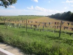 Herrnbaumgarten
Herrnbaumgarten, calcetines, entrada