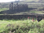 Ahu Tongariki