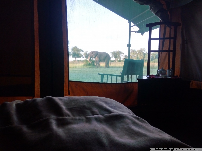 Foro de Alojamiento En Masai Mara: Luxury Accommodation in the Masai Mara