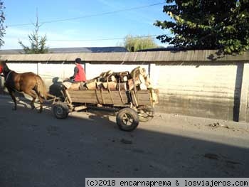 Carro con caballo
Carro tirado por caballo o caballos. Medio de transporte usado por los campesinos en Rumanía

