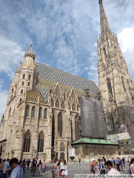 Catedral de Viena
Imagen de la catedral de Viena
