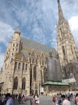 Catedral de Viena
Catedral, Viena, Imagen, catedral