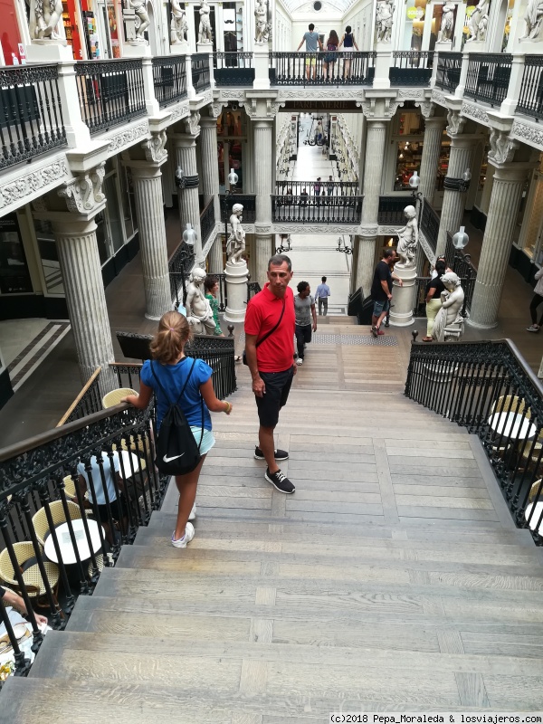 Francia 2018 en coche en 18 días - Blogs de Francia - Día 5: Nantes (5)