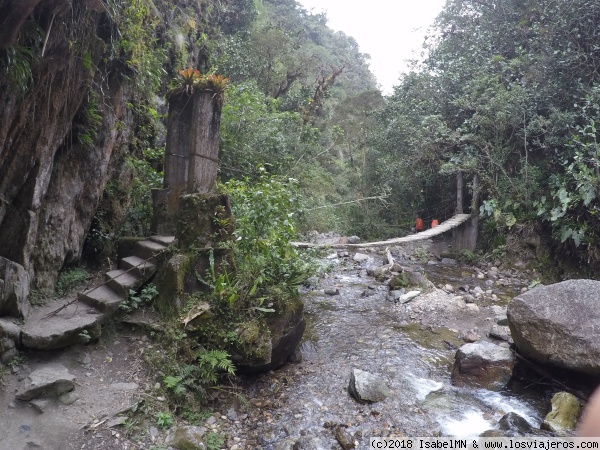 Puente
Puente Valle del Cocora
