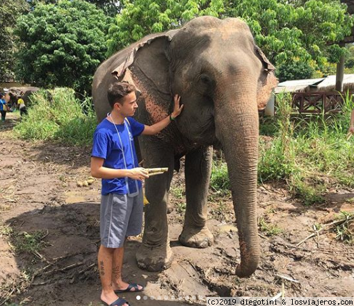 Tailandia
Visita a un centro de rehabilitación de elefantes en Chiang Mai.
