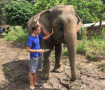 Tailandia
Tailandia, Visita, Chiang, centro, rehabilitación, elefantes