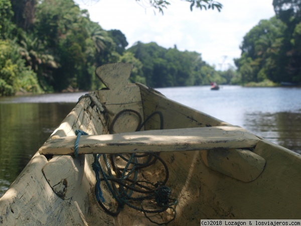 Navegando por el Río Sanaga (Kribi - Camerún)
Recorriendo el Río Sanaga en un bote local a remos.
