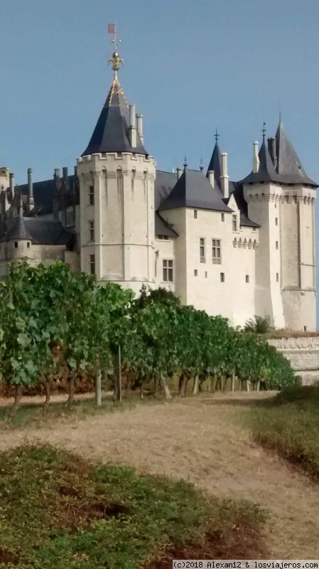 VALLE DEL LOIRA - Blogs de Francia - DIA 2: SAUMUR-CANDES ST.MARTIN-TOURS (2)