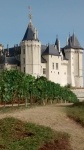 Castillo de Saumur
Castillo, Saumur, Vistas, castillo, desde, parking