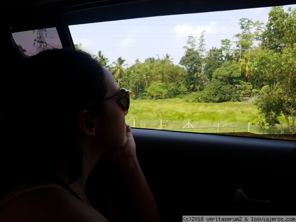 Sampath en su tuc tuc por las calles de Galle
Cuando subes al tuc tuc de Sampath empiezas a entender que no es un conductor cualquiera, su vehiculo está decorado con postales de los templos y la naturaleza más emblemáticos de Sri Lanka lo que demuestra que ama su país y está deseando conocer gente a la que enseñárselo
