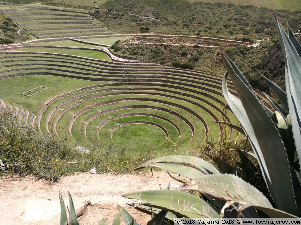 Vista terrazas Moray
Vista superior del complejo arqueólogico de Moray (Valle Sagrado del Cusco). Terrazas destinadas a la agricultura, a distintas alturas. Época incaica.
