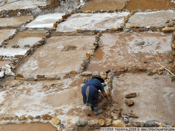 Salineras de Maras Moray (Cusco)
Mujer trabajando en las Salineras de Maras Moray
