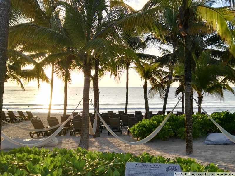 Viajar a  Mexico: HOTEL CATALONIA - Amanecer en Riviera Maya (HOTEL CATALONIA)