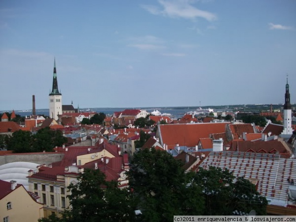 Vista de la ciudad vieja de Tallinn
Desde uno de los miradores de la parte alta de la ciudad, la colina de Toompea
