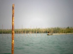 Pescador en la Albufera de Valencia