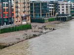 Low tide on the Thames. London