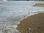 Orilla de la playa de Pinedo