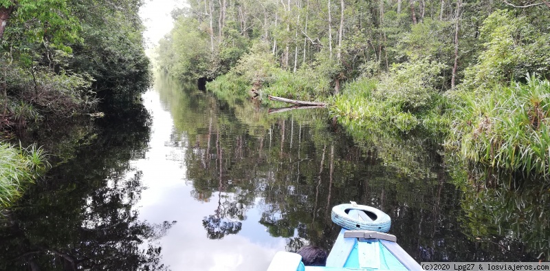 Indonesia: Conociendo un trocito del paraíso (Julio 2019) - Blogs de Indonesia - Borneo. PN Tanjung Puting (1)