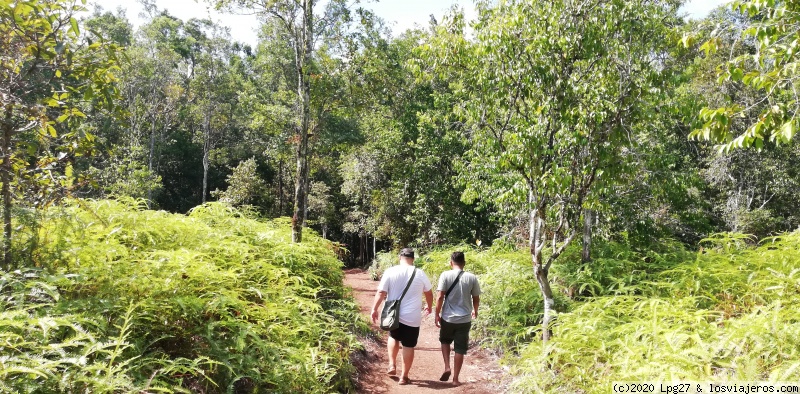 Indonesia: Conociendo un trocito del paraíso (Julio 2019) - Blogs de Indonesia - Borneo. PN Tanjung Puting (2)