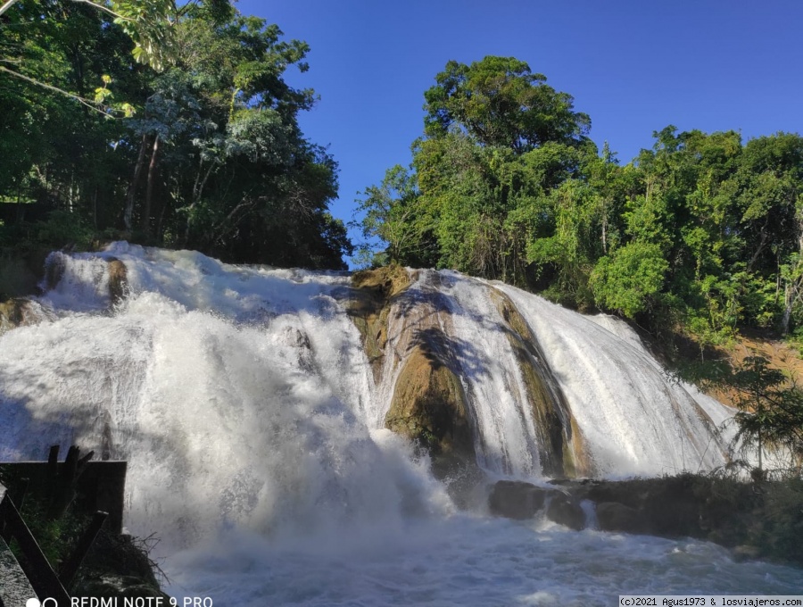 Bajo el cielo de Mesoamérica (México) - Blogs de Mexico - Palenque, cascada de agua azul y la cascada de Predator. (2)