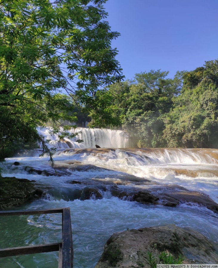 Bajo el cielo de Mesoamérica (México) - Blogs de Mexico - Palenque, cascada de agua azul y la cascada de Predator. (3)