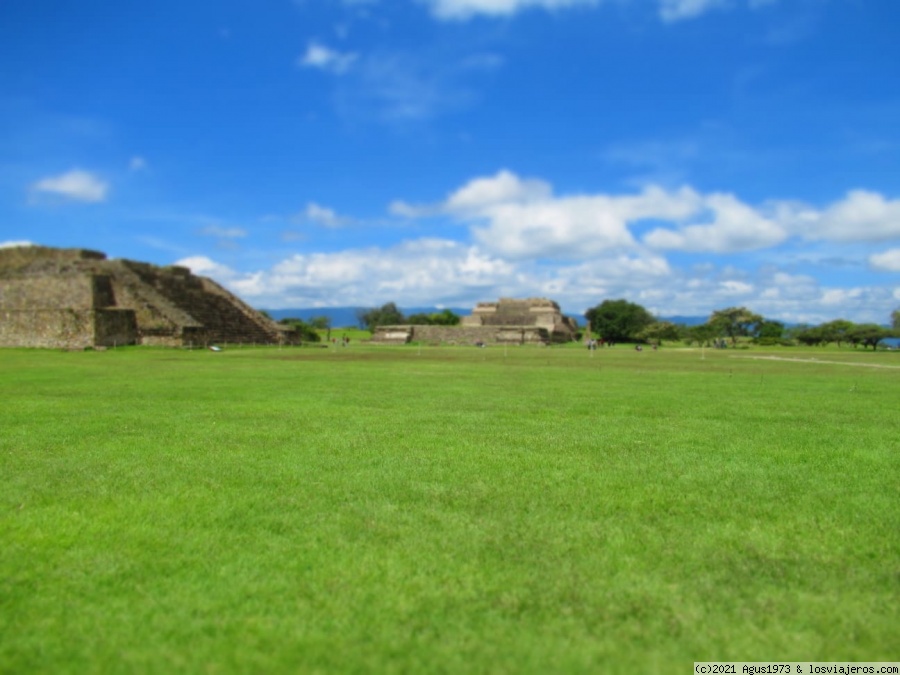 Bajo el cielo de Mesoamérica (México) - Blogs de Mexico - Monte Albán ( hay más vida más allá de aztecas y mayas) (1)