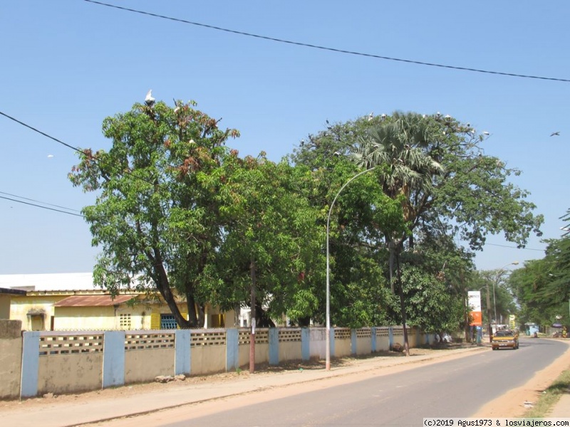 EL ÉBANO MÁS CELESTIAL (GUINEA-BISÁU) - Blogs de Guinea-Bissau - CÓMO LLEGUÉ A GUINEA BISSAU (2)