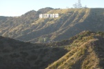 Cartel Hollywood
Hollywood