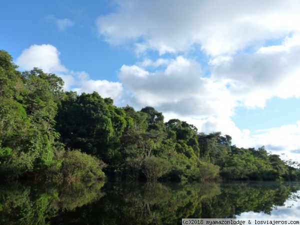 selva de los espejos
durante el recorrido podemos observar la naturaleza, la selva virgen
