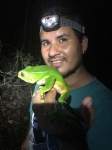 Monkey Frog