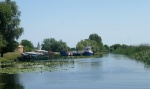 Delta del Danubio
Agua, humedales, ríos, gastronomía