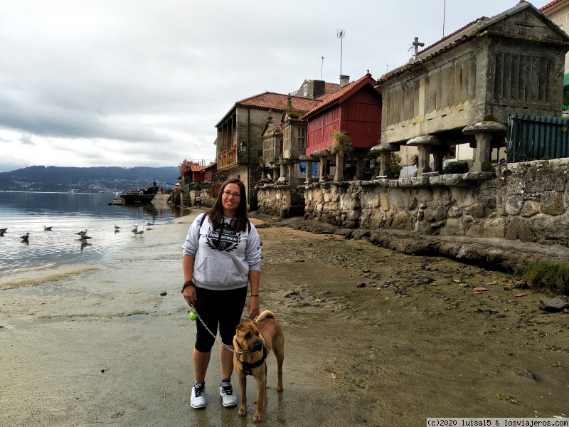 DIA 11: Combarro, Monasterio de Poio, Pontevedra y Cambados - GALICIA MAXICA (1)