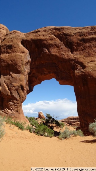 Pine tree  Arch, Arches , Utah
Pine tree Arch, Arches , Utah
