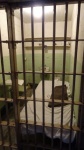 celda de Alcatraz
Alcatraz, celda, recreada