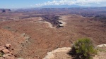 canyonlands
canyonlands, buck, canyon, overlook