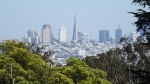 Panoramica de San Francisco, Piramide Transamerica
Panoramica, Francisco, Piramide, Transamerica, Battery, East, desde, trail