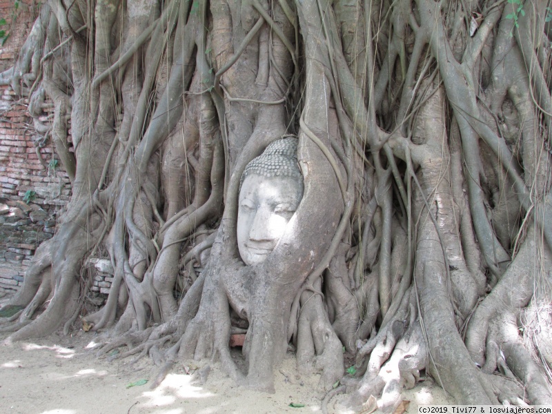 Día 8: Ayuttayah y última noche en Bangkok - Tailandia 2013 (2)