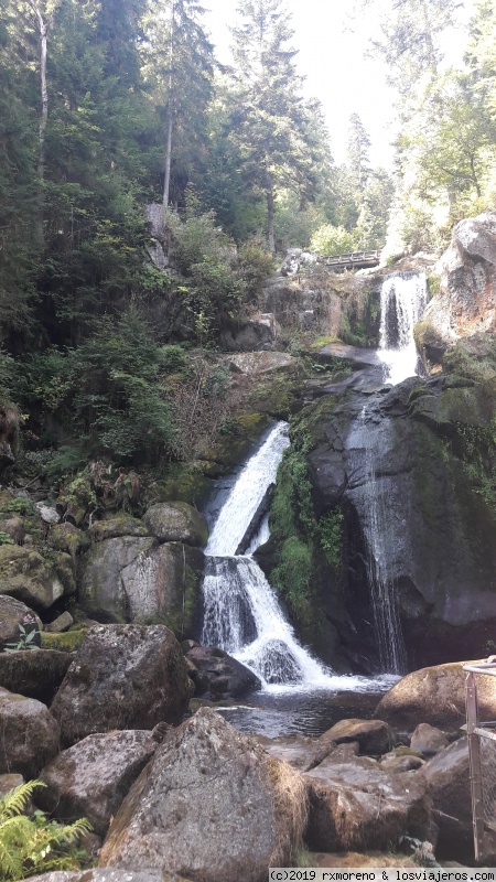 Selva Negra con senderista de 6 años - Blogs de Alemania - Triberg, reloj de cuco de Schonach y St. Margen (1)