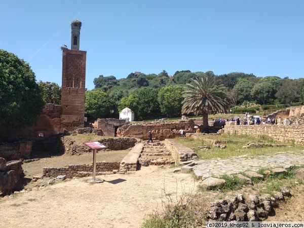 Ruinas de Chellah
Necrópolis de Chellah, antiguo complejo romano (con baños, foro y arco del triunfo incluídos), constituye el más antiguo asentamiento humano en Rabat
