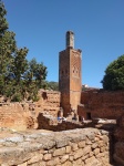 Minarete y cigüeñas de Chellah