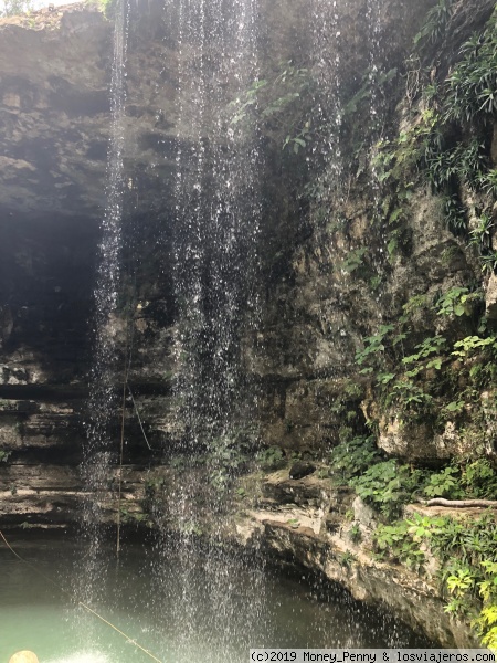 Cenote Saamal - Selva Maya - Valladolid
Uno de los miles de cenotes que puedes visitar
