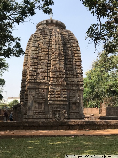 Templo Parasurameswara en Bhubaneswar
Templo de Parasurameswara, del siglo VII es uno de los templos mejores conservados de los numerosos templos de Bhubaneswar
