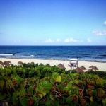 Playa delfines.
delfines, familia, Cancún.