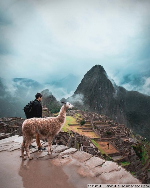 TOUR MACHU PICCHU
Para los amantes de la aventura y caminata, que te permite conocer Machu Picchu por bus.
