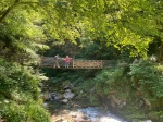 Garganta Tolmin
Garganta, Tolmin, Puente