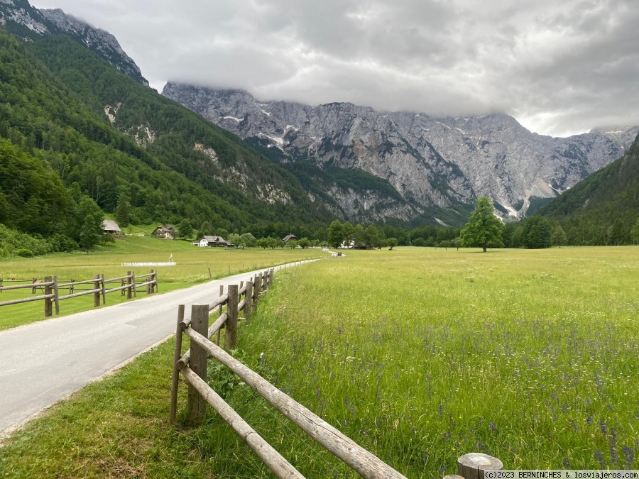 Dia 4.- Velika Planina y Logarska Dolina.- Sábado, 24 de junio de 2023 - Eslovenia y Trieste, 7 días (4)