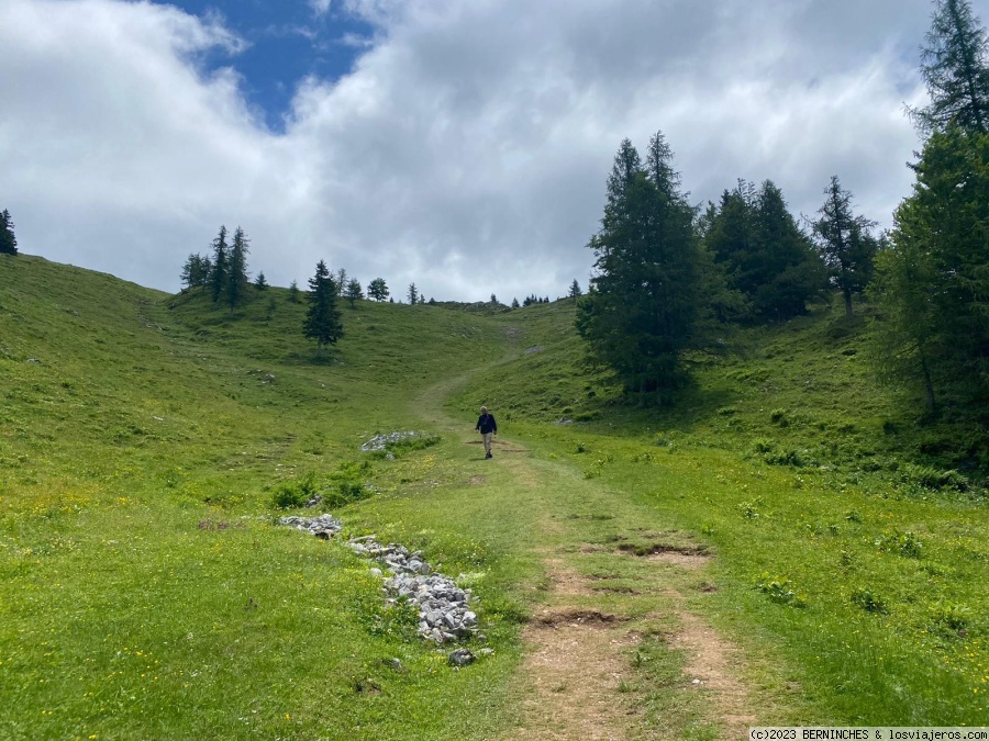 Dia 4.- Velika Planina y Logarska Dolina.- Sábado, 24 de junio de 2023 - Eslovenia y Trieste, 7 días (3)