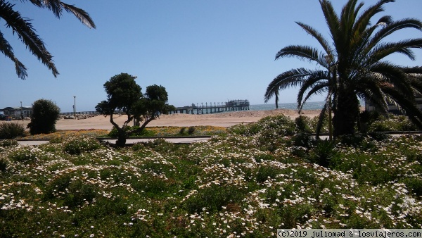 Swakopmund (Namibia)
Vista del embarcadero desde el paseo Marítimo
