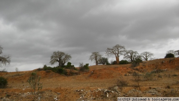 Baobab
Paisaje Angola
