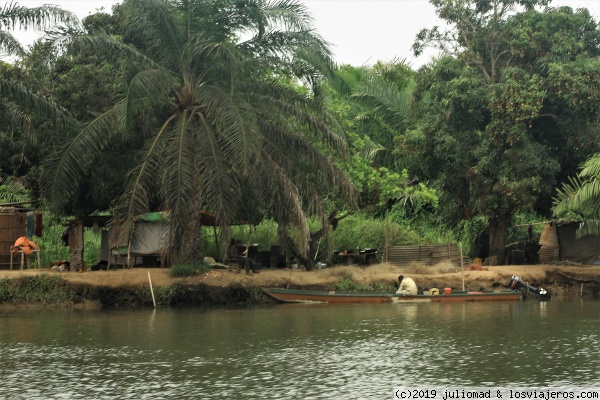 Rio Kwanza
Excursion por el rio Kwuaza
